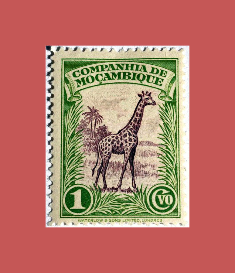 timbre girafe