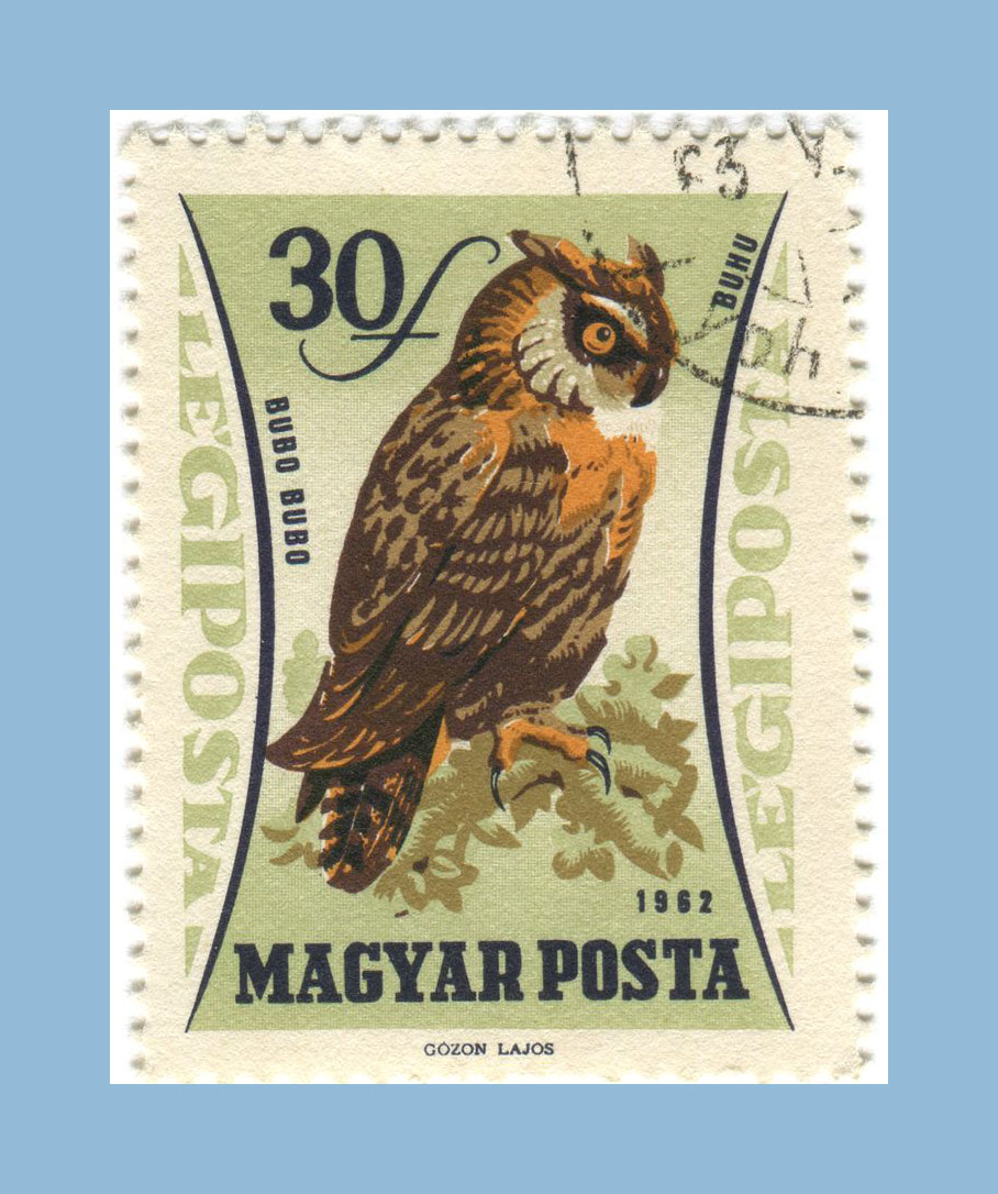 timbre hibou