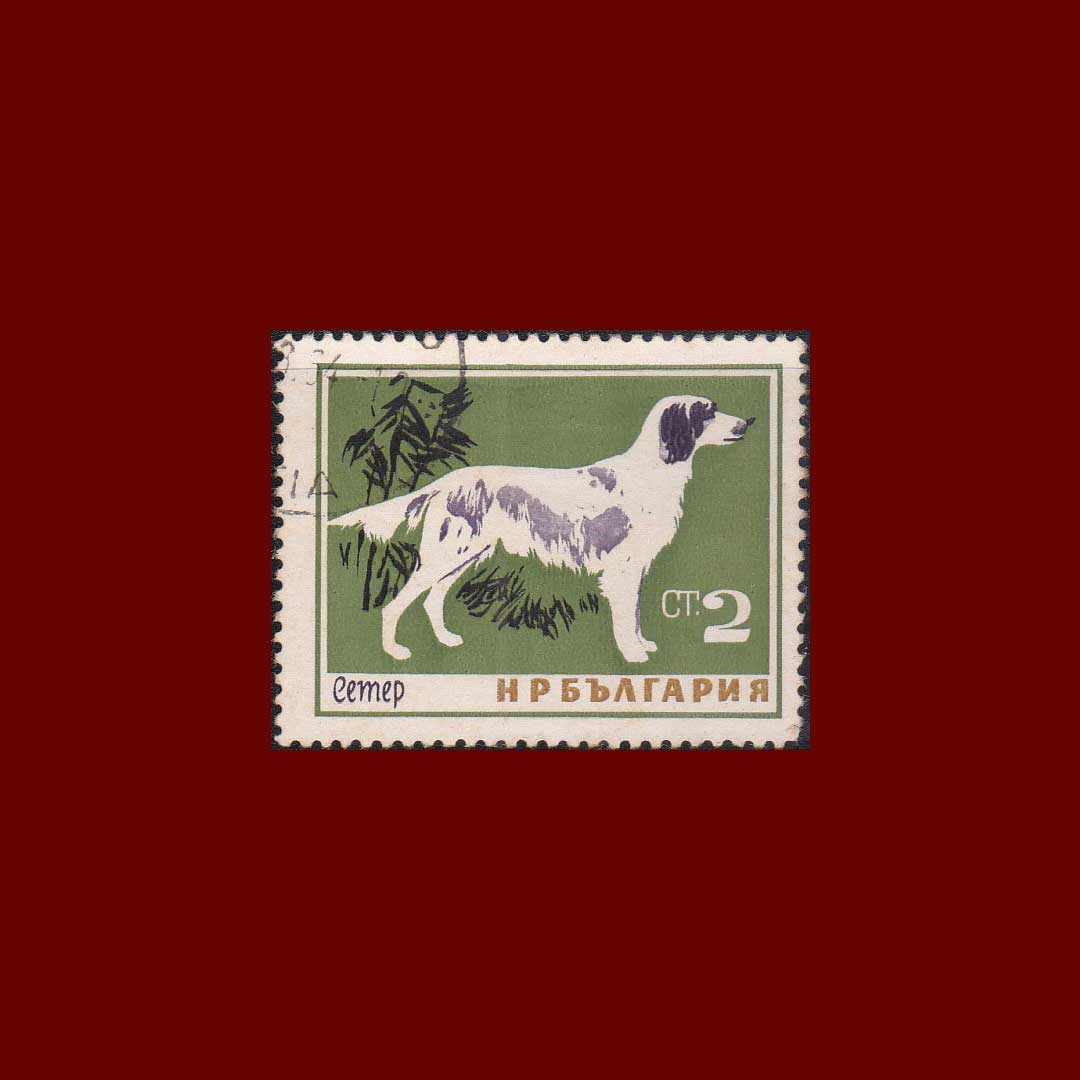 timbre de chien